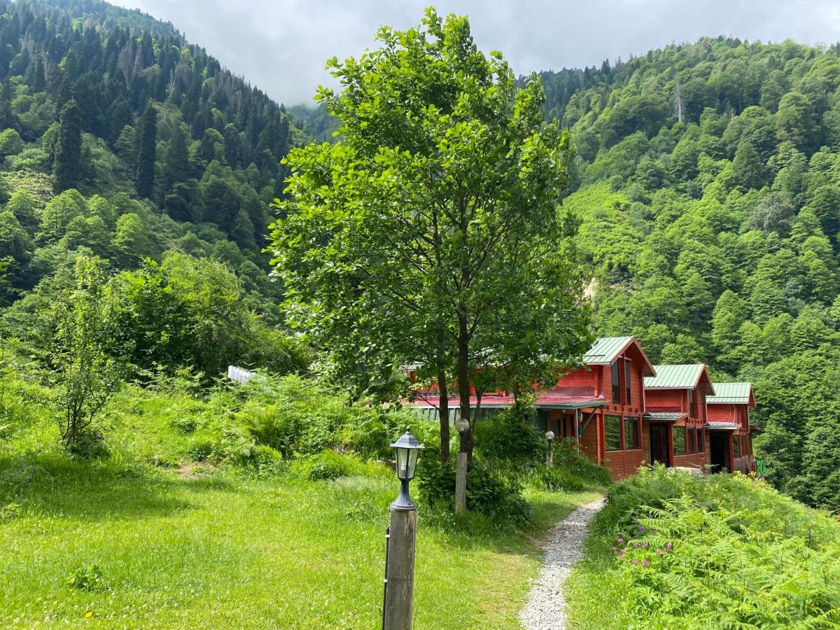 Ayder Villa Gencal Εξωτερικό φωτογραφία