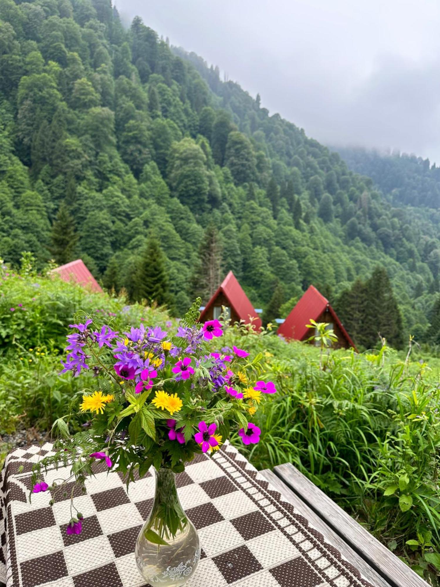 Ayder Villa Gencal Εξωτερικό φωτογραφία