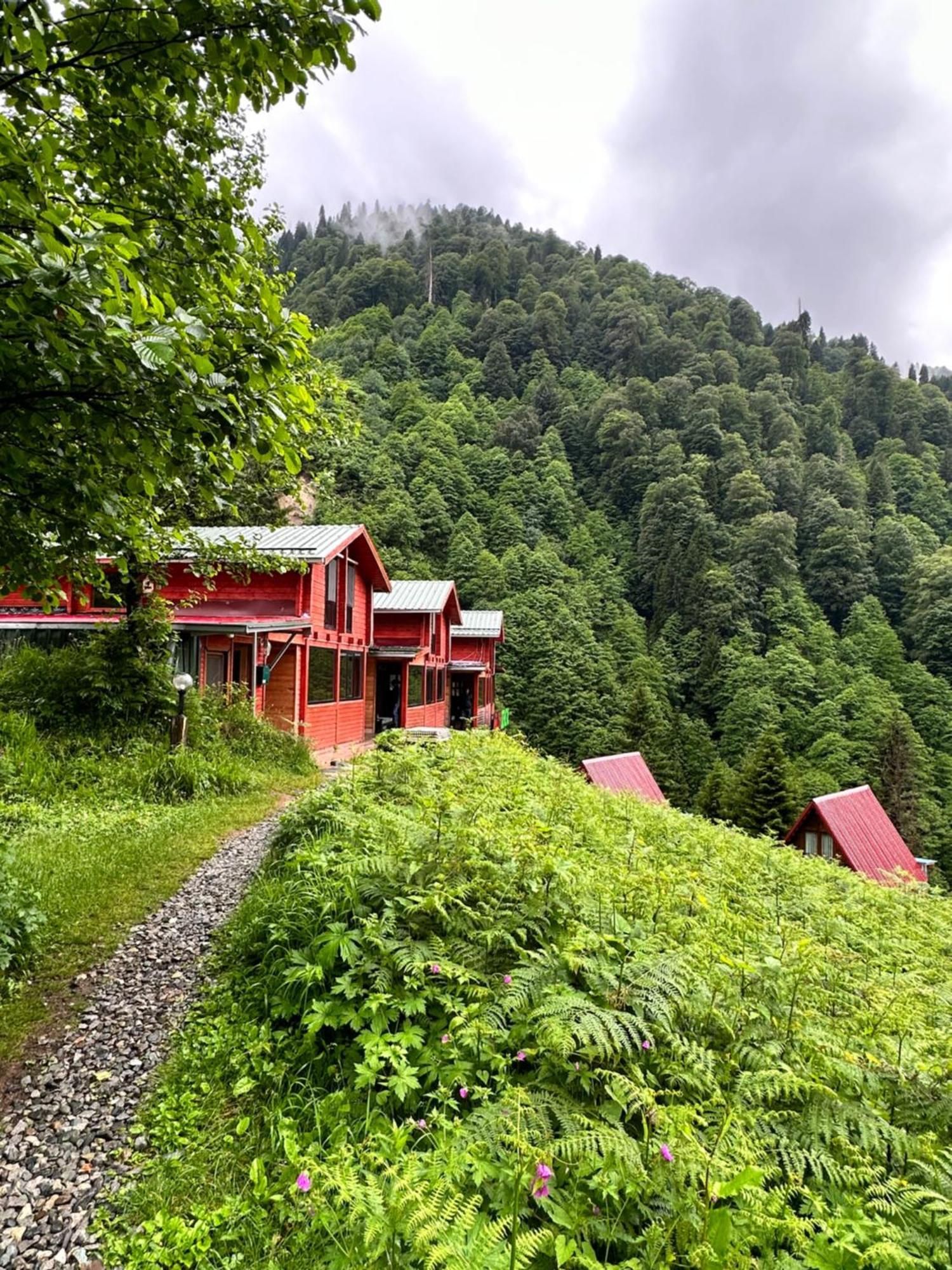 Ayder Villa Gencal Εξωτερικό φωτογραφία
