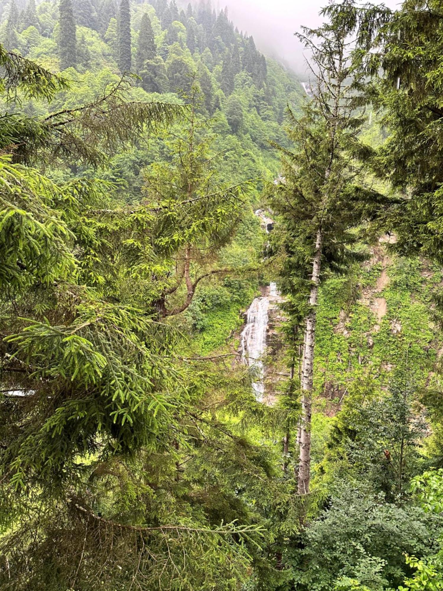 Ayder Villa Gencal Εξωτερικό φωτογραφία