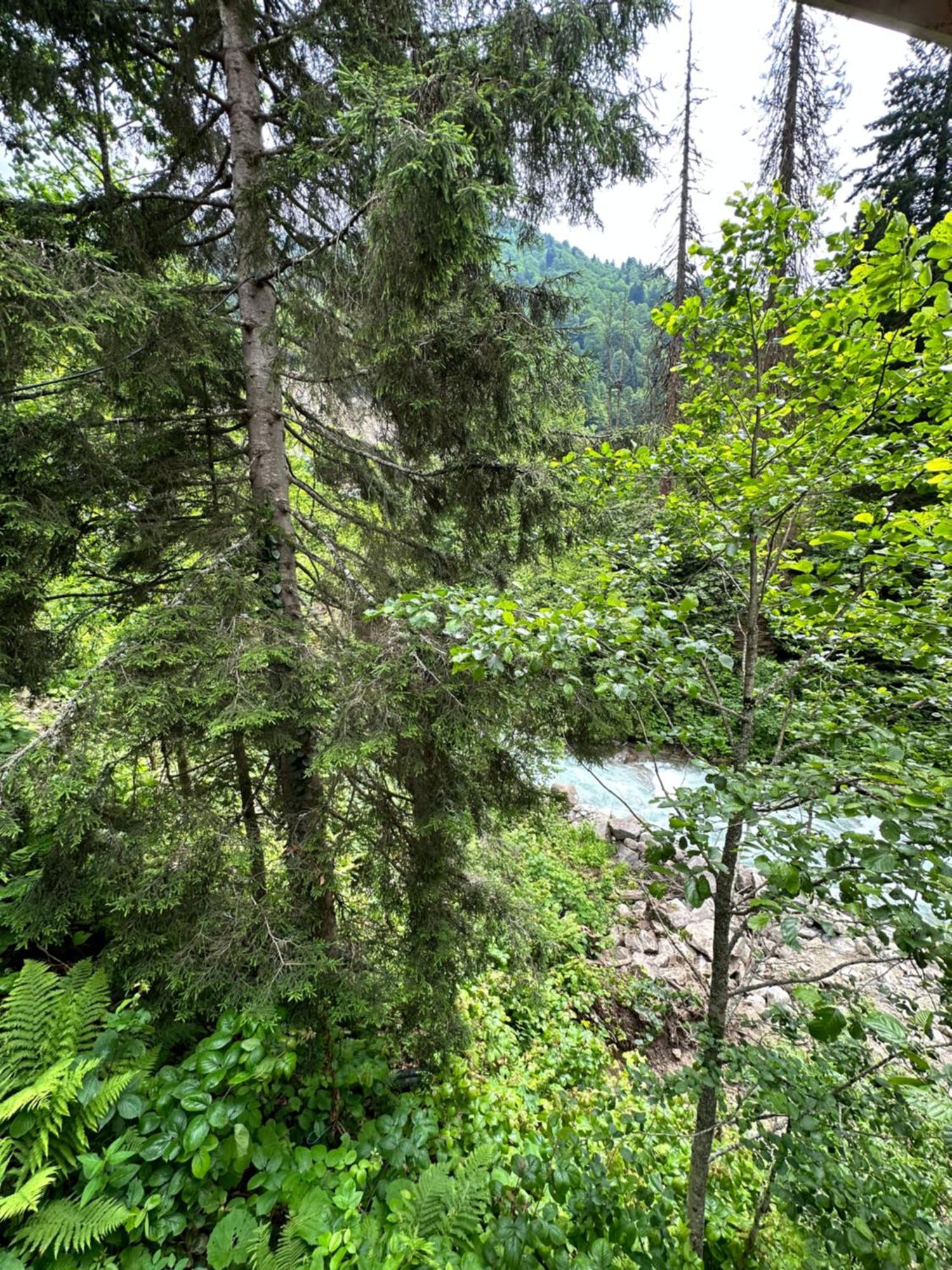 Ayder Villa Gencal Εξωτερικό φωτογραφία