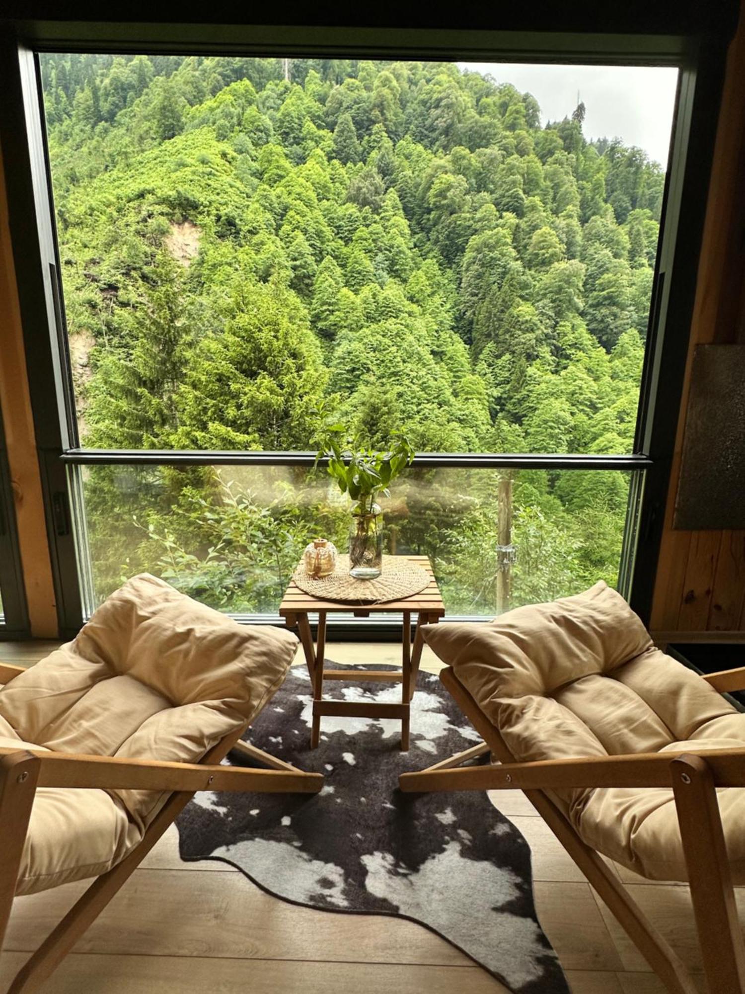 Ayder Villa Gencal Εξωτερικό φωτογραφία
