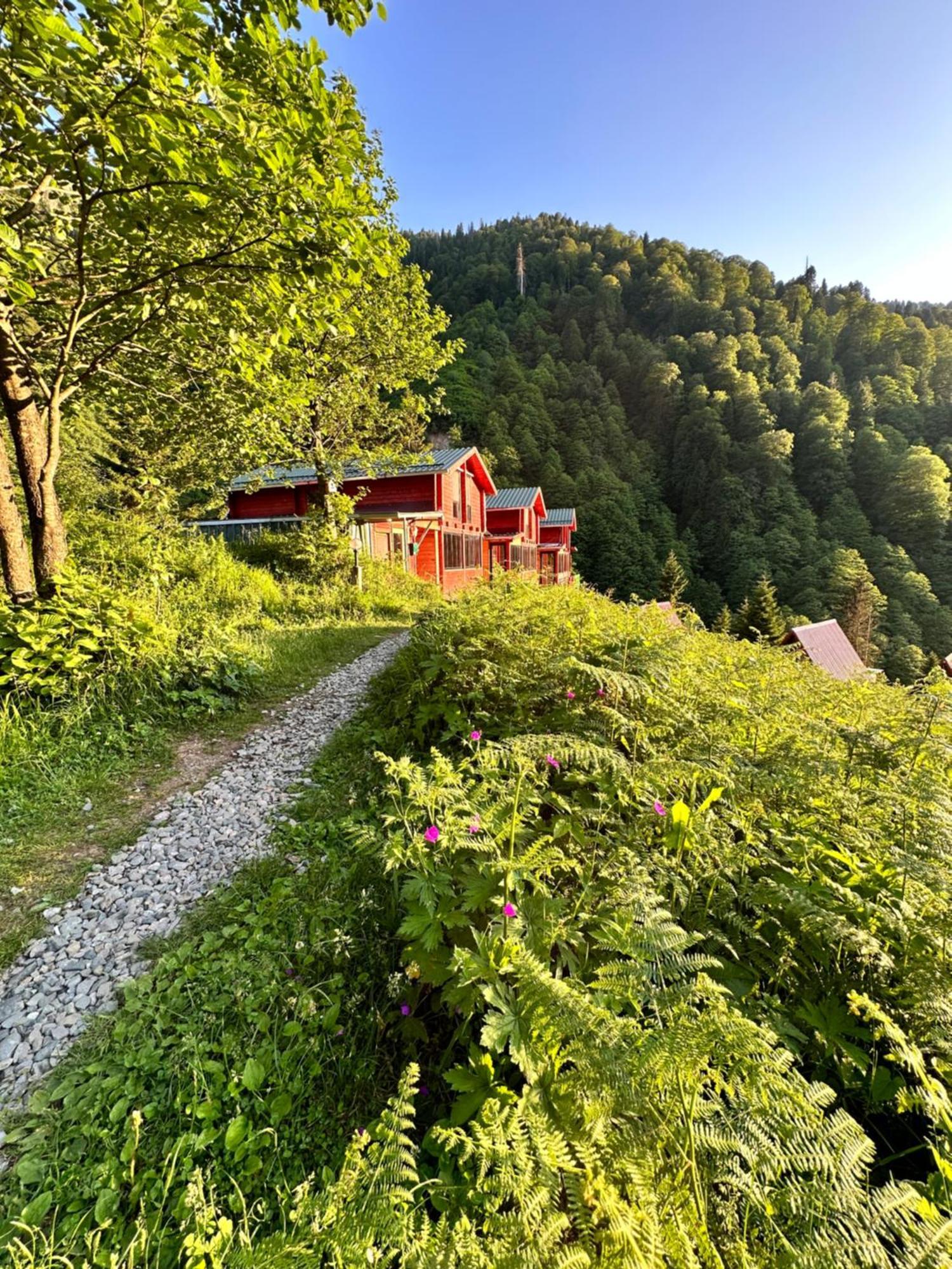 Ayder Villa Gencal Εξωτερικό φωτογραφία