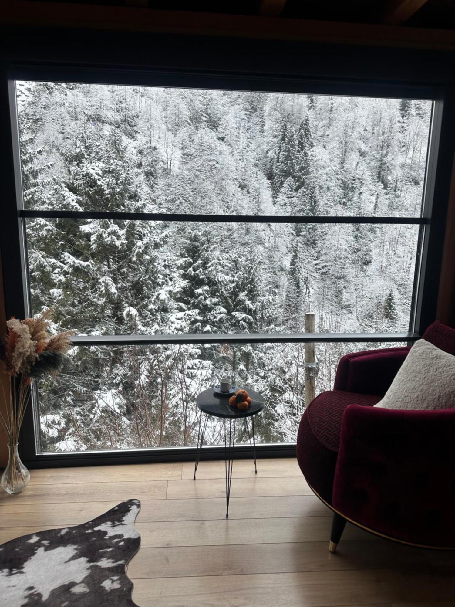 Ayder Villa Gencal Εξωτερικό φωτογραφία