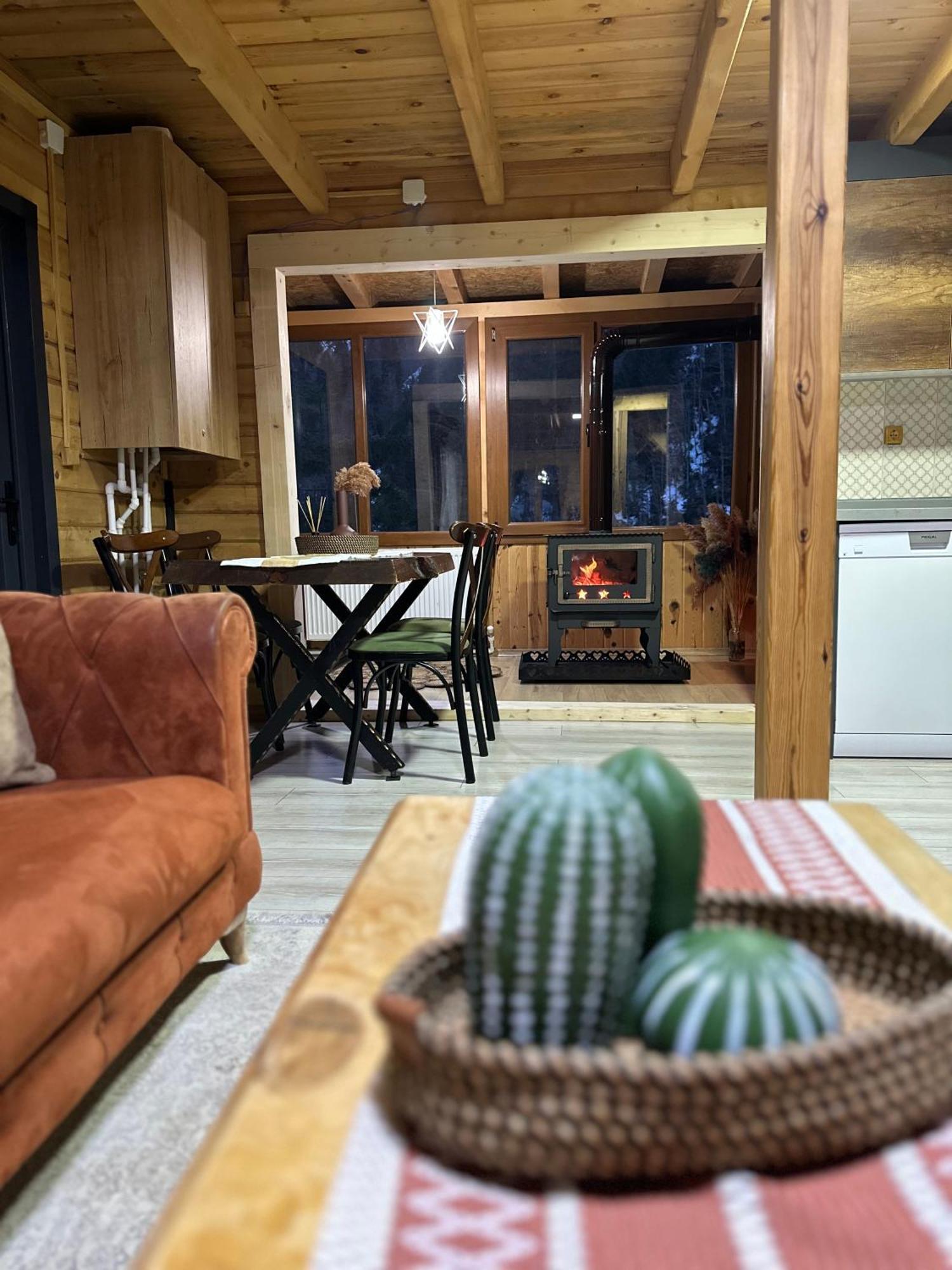 Ayder Villa Gencal Εξωτερικό φωτογραφία