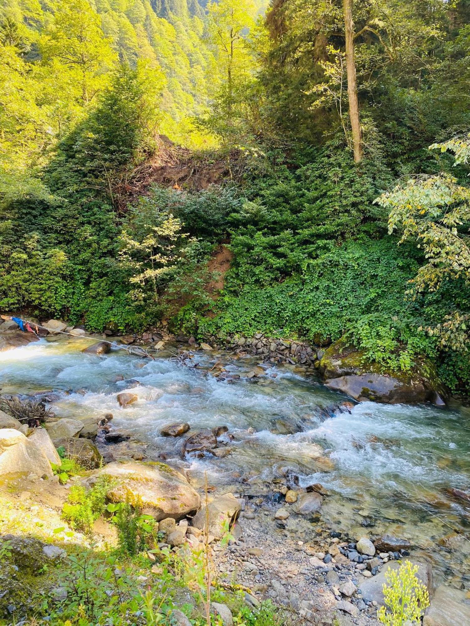 Ayder Villa Gencal Εξωτερικό φωτογραφία